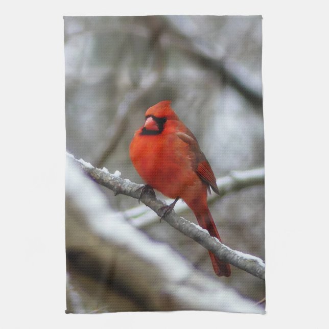 Male Cardinal Kökshandduk (Vertikal)