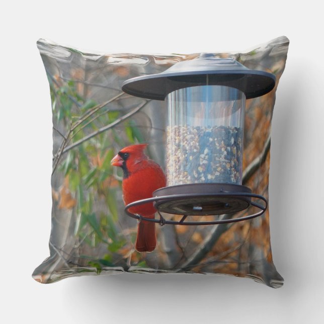 Male Cardinal Kudde (Framsida)