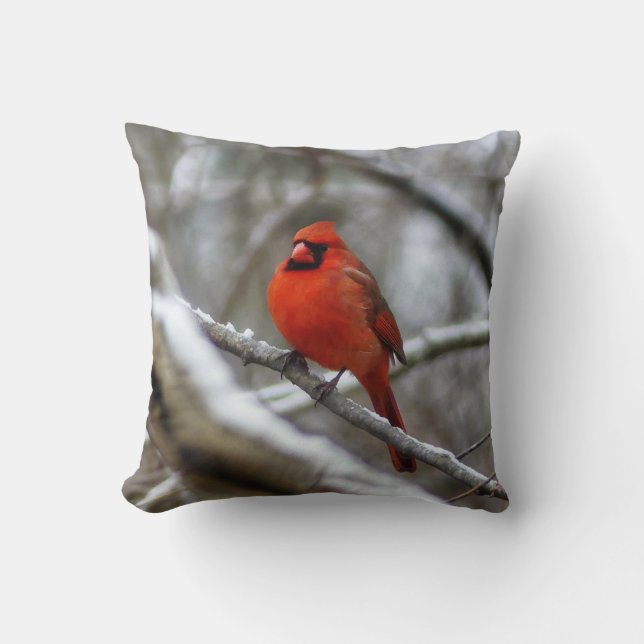 Male Cardinal Kudde (Framsida)