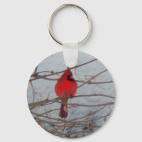 Male Cardinal
