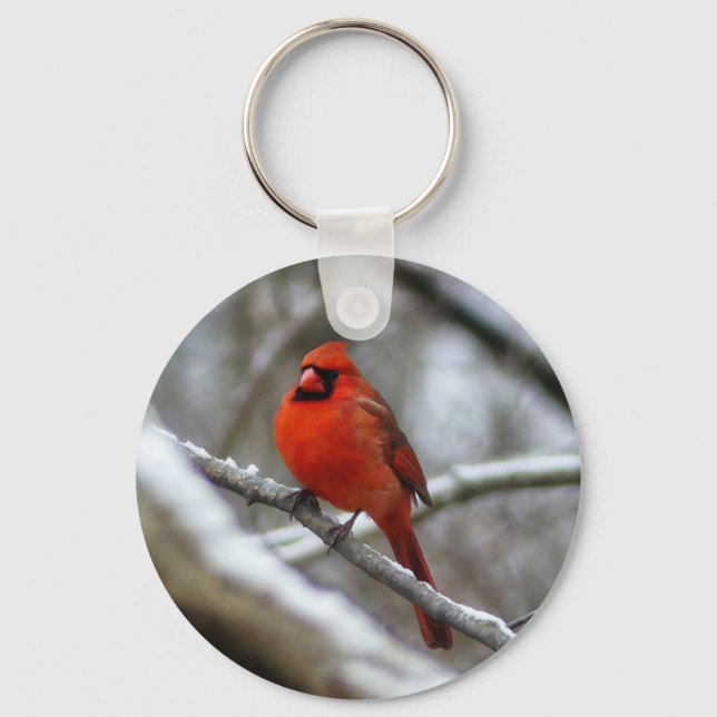 Male Cardinal Nyckelring (Framsida)