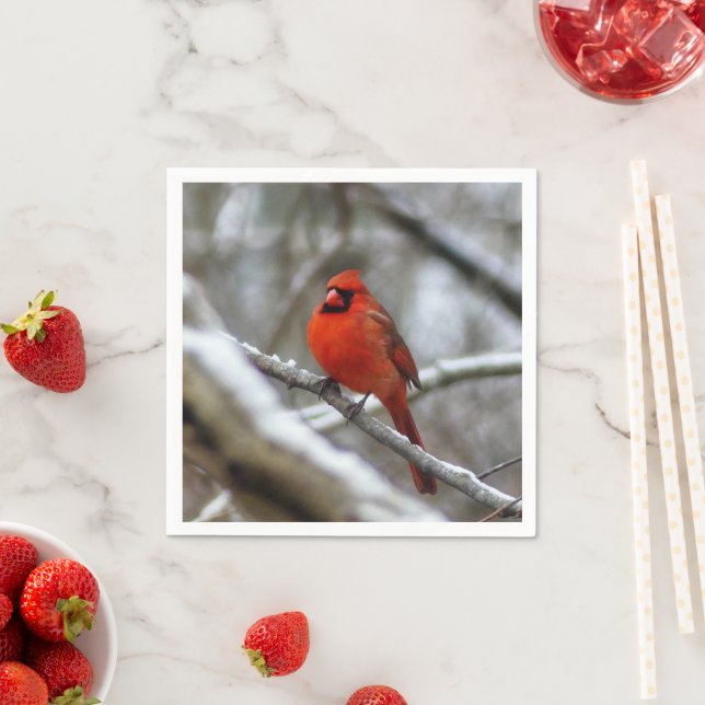 Male Cardinal Pappersservett (Insitu)