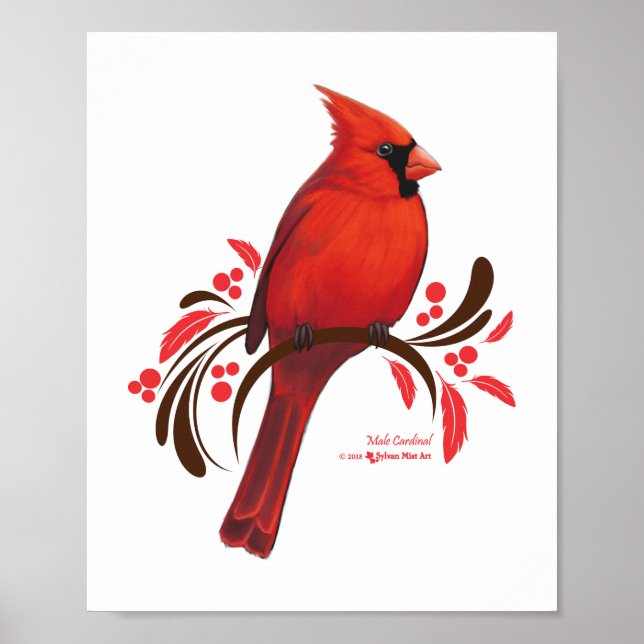 Male Cardinal Poster (Framsidan)