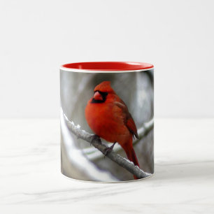 Male Cardinal Två-Tonad Mugg