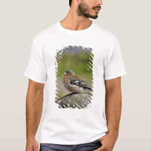 Male Chaffinch (VILD: Fringilla coelebs) Tee