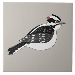 Male Downy Woodpecker Bird med rött huvud Kakelplatta