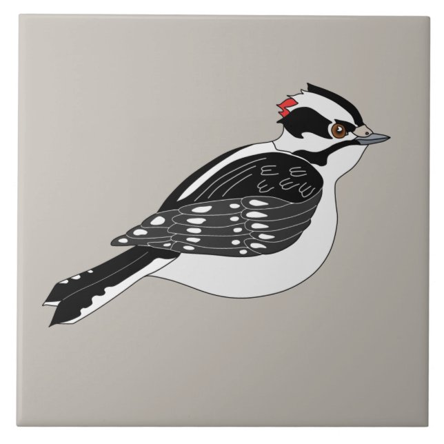 Male Downy Woodpecker Bird med rött huvud Kakelplatta (Framsidan)
