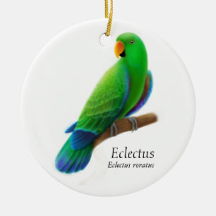 Male Eclectus papegojaprydnad Julgransprydnad Keramik