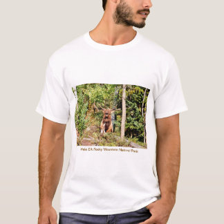Male Elk i Rocky Mountain National Park, Colorado T Shirt