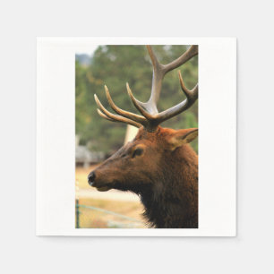 Male Elk Pappersservett