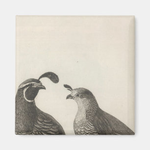 Male & Female Partridge Magnet
