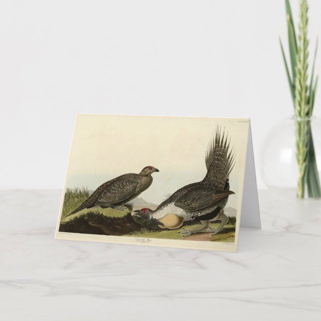 (Male Fowl) vid de amerikanska slätterna Audubon B Kort (Framsida)