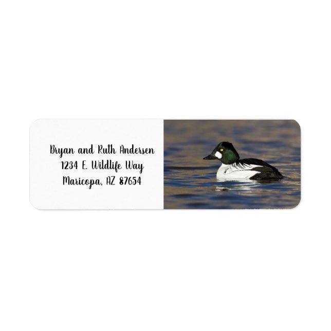 Male Goldeneye anka Returadress Etikett (Framsidan)