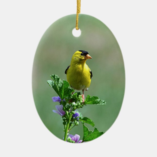 Male Goldfinch Ornament (Framsidan)