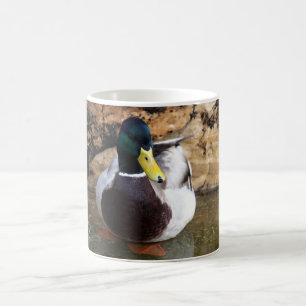 Male gräsandanka kaffemugg