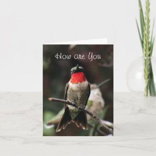 Male hälsning eller notecard-customiz för Lil Kort