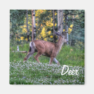 Male Hjort (Buck) och Klöver Wildlife Animal Magnet