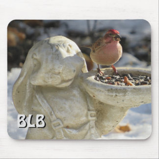 Male House Finch your initialer Mouse Pad Musmatta