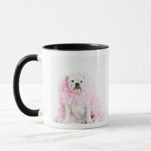 Male hund för vit med den rosa boaen mugg