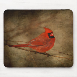 Male huvudsakliga Mousepad Musmatta