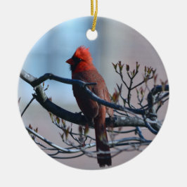 Male Kardinal Ornament