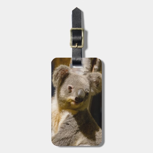 Male Koala Personalize Bagagebricka (Vertikal Framsida)