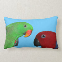 male kvinnlig eclectuspapegojadekorativ kudde