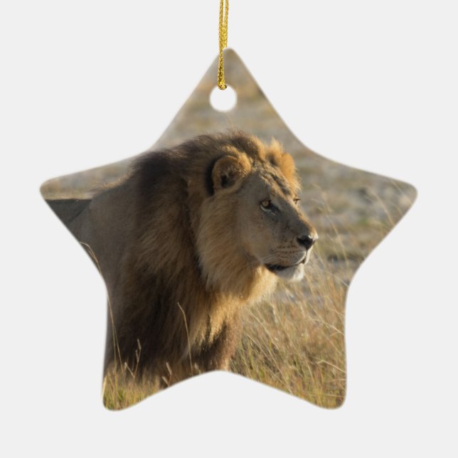 MALE LEJON JULGRANSPRYDNAD KERAMIK (Framsidan)