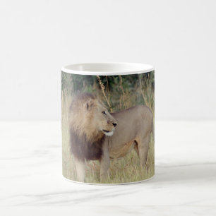 MALE LEJON KAFFEMUGG