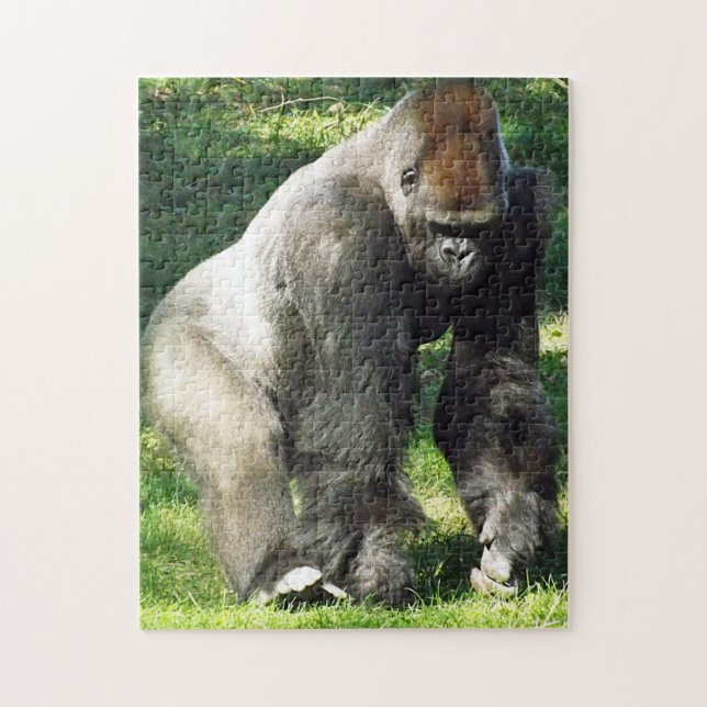 Male Lowlandgorilla för Silverback som står upp Pussel (Vertikal)