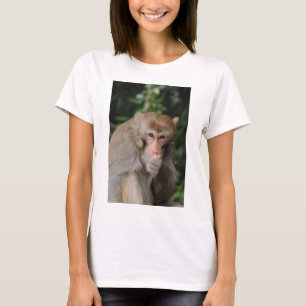 Male Macaque apkey T Shirt