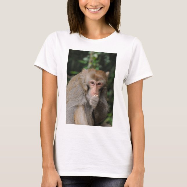 Male Macaque apkey T Shirt (Framsida)