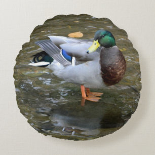 Male Mallard Anka Round Pillow Rund Kudde