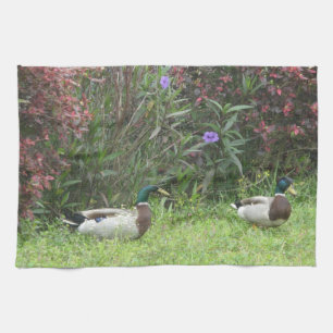 Male Mallard Ankor Kitchen Towels Kökshandduk