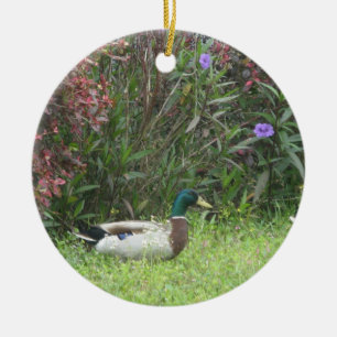 Male Mallard Ankor Ornament