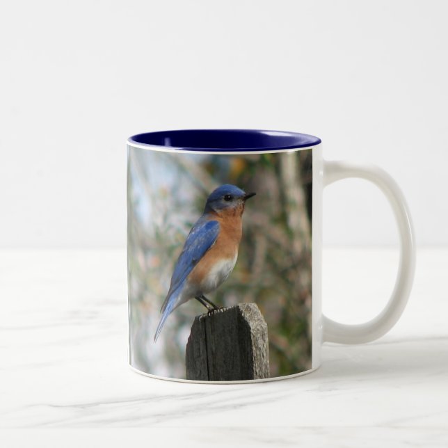 Male mugg för östlig blåsångare (Höger)