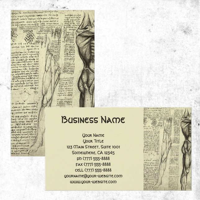 Male Muscle Anatomy Sketch av Leonardo da Vinci Visitkort (Skapare uppladdad)