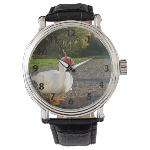 Male Muscovy Anka Watch Armbandsur
