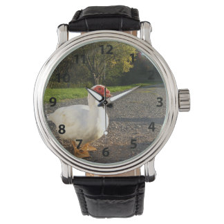 Male Muscovy Anka Watch Armbandsur