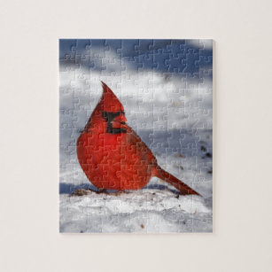 Male nordlig kardinal i snön pussel