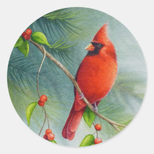 Male Northern Kardinal Bird Watercolor Art Runt Klistermärke