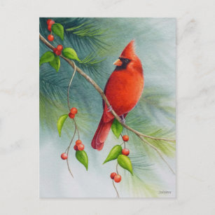 Male Northern Kardinal Bird Watercolor Art Vykort
