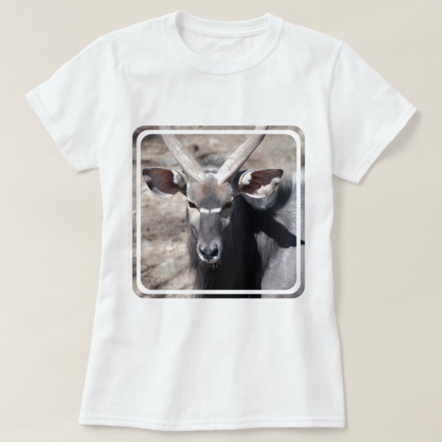 Male Nyala Tee Shirt (Design framsida)
