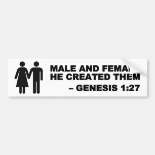 Male och kvinnlig generator-1:27bildekal - svart bildekal