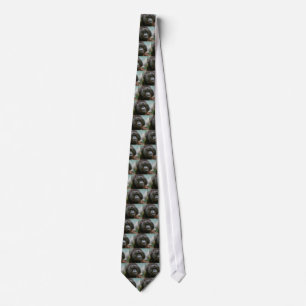 male orangutan slips