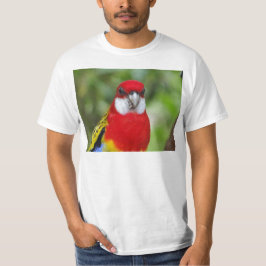Male östliga Rosella T Shirt
