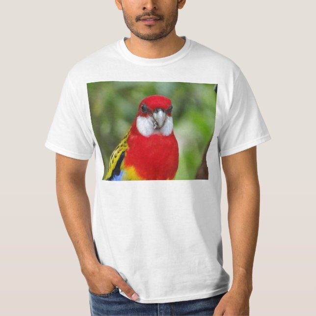 Male östliga Rosella T Shirt (Framsida)