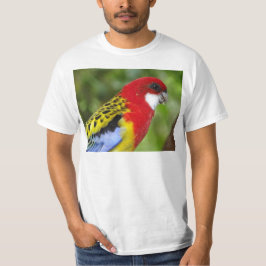 Male östliga Rosella T-shirt