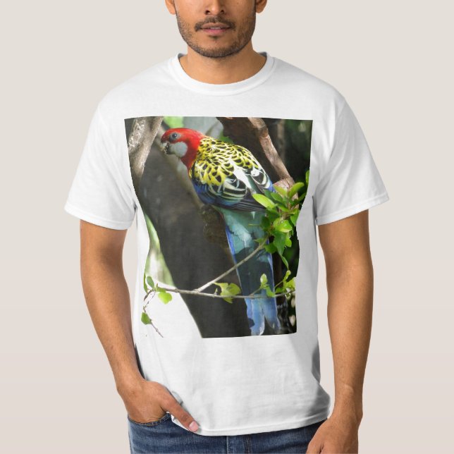 Male östliga Rosella Tröja (Framsida)