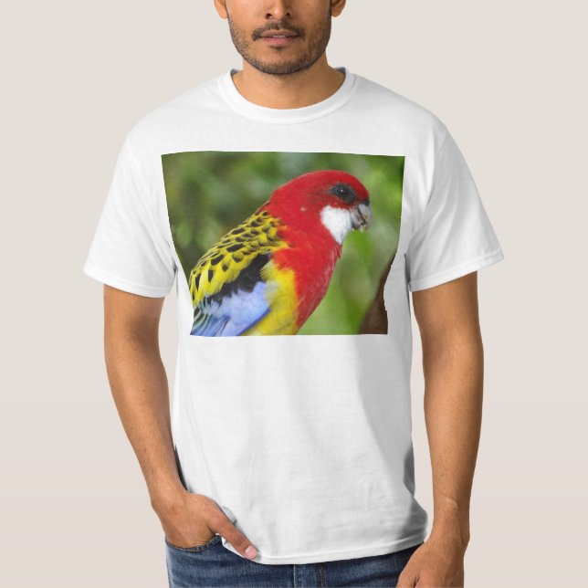 Male östliga Rosella Tröja (Framsida)